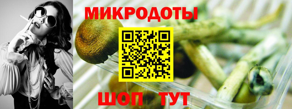 Тула  Галлюциногенные грибы GOLDEN TEACHER  магазин  наркотиков  Вход с VPN 